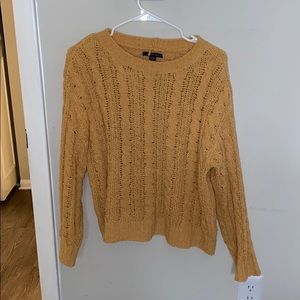 ae sweater